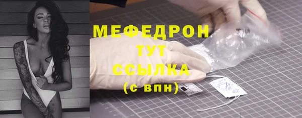 трава Няндома