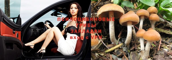 mdpv Алексин