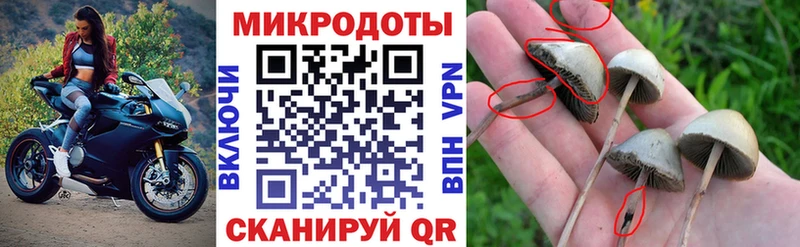 Псилоцибиновые грибы MAGIC MUSHROOMS  Кочубеевское 