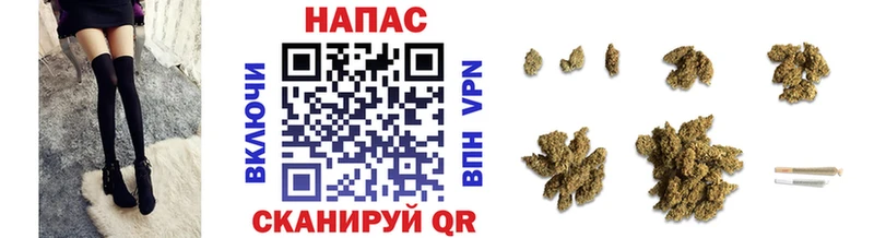 Марихуана план  наркотики  Кочубеевское 
